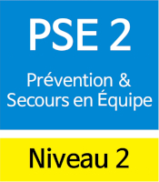 FC PSE 2